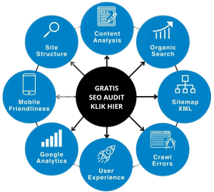 gratis seo audit